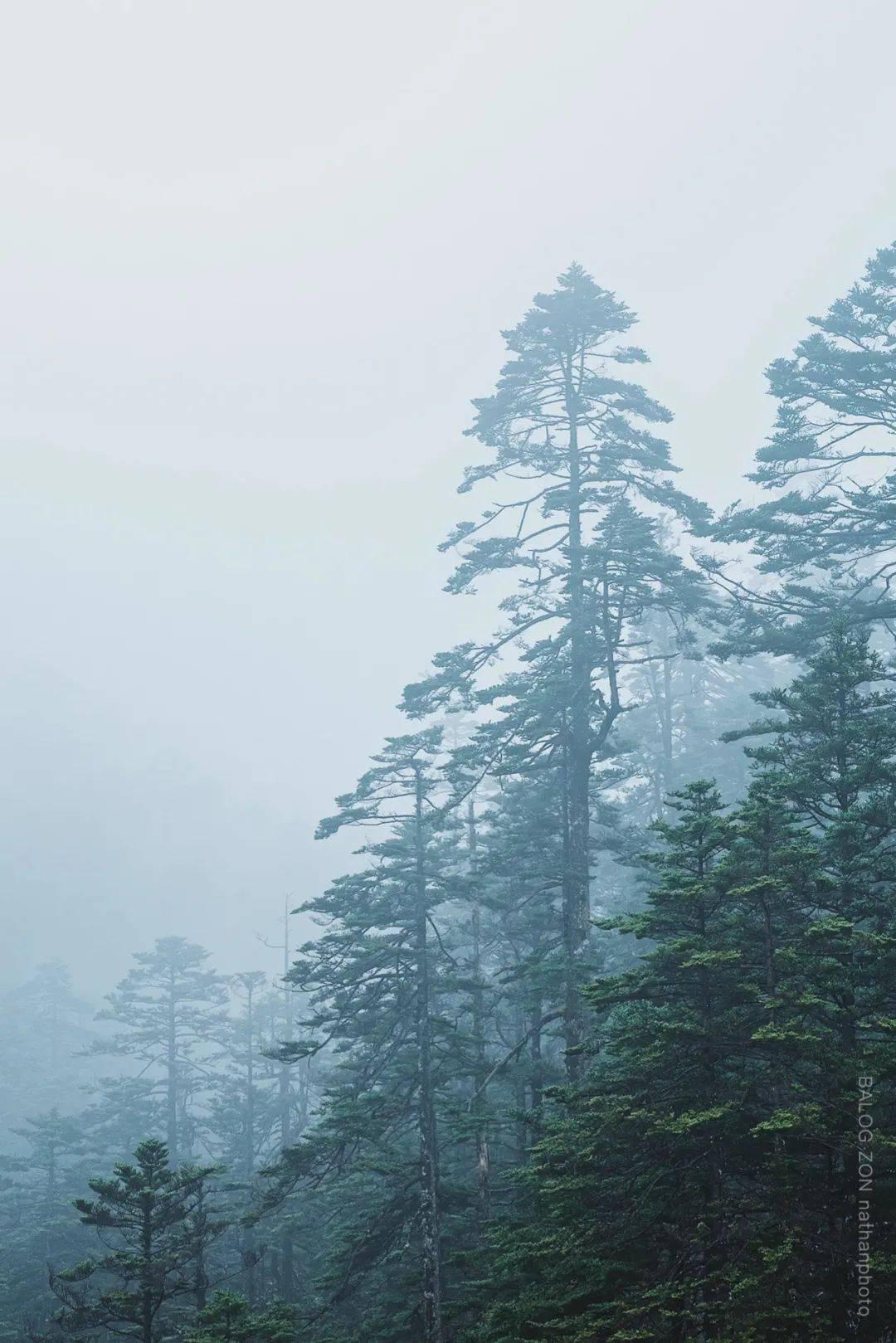 夏末未至